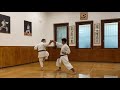 Kank dai  full karate kata explanation with bunkai  master dario marchini