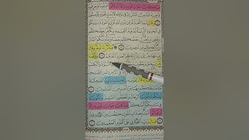 روابط سورة العنكبوت من 26: 35