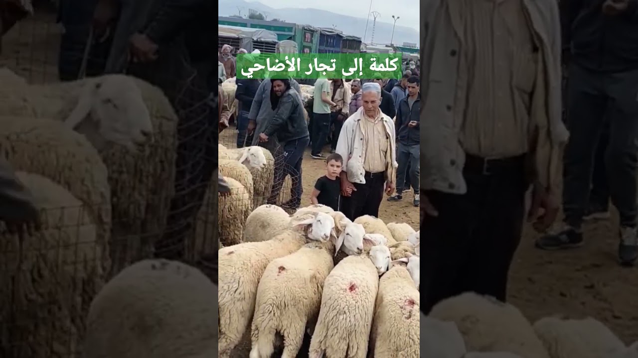 كلمة إلى تجار الأضاحي