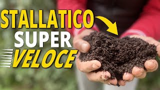 Comment Transformer Le Fumier En Fumier Facile Et Rapide