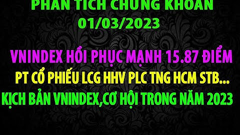 Chứng Khoán 01/03/2023 VNINDEX Hồi Phục Mạnh Mẽ. Có Nên Mua Đuổi. PT Cổ Phiếu Tiềm Năng PLC LCG STB.