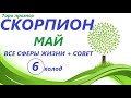 СКОРПИОН ♏ МАЙ 2021🌼таро прогноз/таро гороскоп/ 6 колод!!!👍