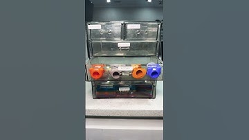 Smart Parenting Hack: Keep Kids Busy While You Get Ready! #momhack