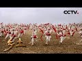 《乡土》东西南北品年味 华北 20190206 | CCTV农业