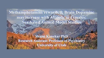 Methamphetamine Rewards and Brain Dopamine May Increase with Housing at Moderate Altitude in Females