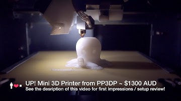 UP! Mini 3D Printer In Action! + Comments / First Impressions