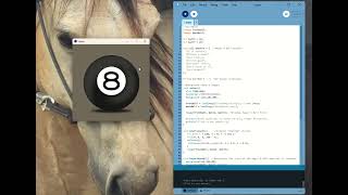 Loops Demo