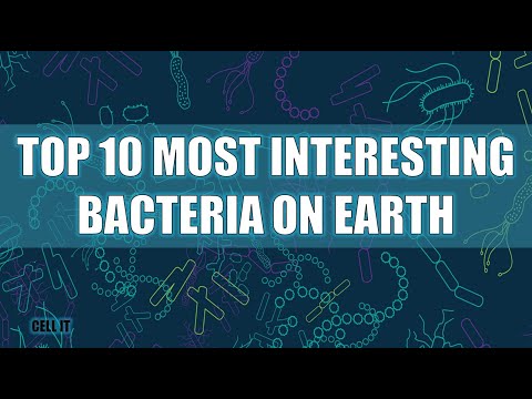 10 mest intressanta bakterierna på jorden