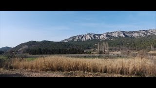 Pension Canine Chenil De La Truffe Noire