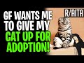 AITA Not Giving My Cat For Adoption As Girlfriend Has Phobia (r/aita)