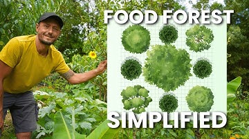 This 1-Guild Template Makes Food Forest Design Easy