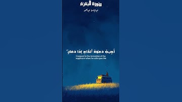 🌙 "راحة قلبك مع القرآن 🤍 تلاوة مؤثرة بصوت عبدالباسط"