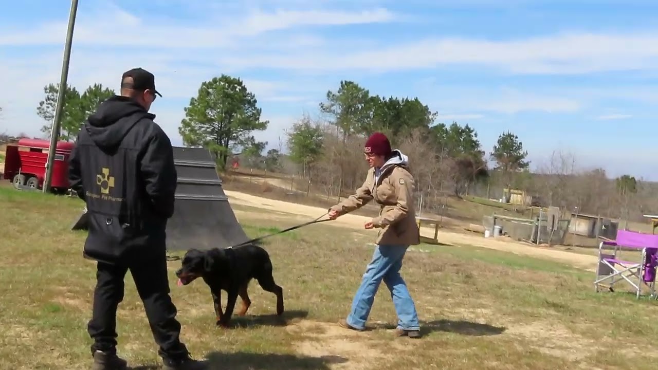 2026-Feb - Oliver Neubrand workshop