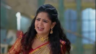 Lakshmi Nivasam | Ep - 238 | Webisode | Nov 24 2025 | Zee Telugu