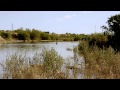 Video de San Luis Río Colorado