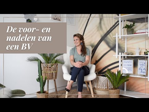 Video: Wat is een nadeel van maatschappen ten opzichte van eenmanszaken?