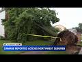 Chicago weather: Strong storms knock down trees, power lines in parts of area