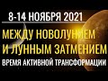 Неделя 8-14 ноября 2021: От Королевского Новолуния в Скорпионе к Лунному затмению