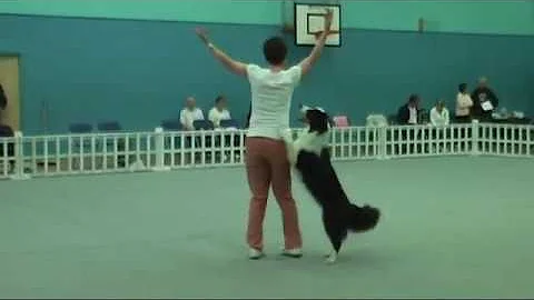 2008 Aug - Fylde K9 Dancers - Annette Lowe