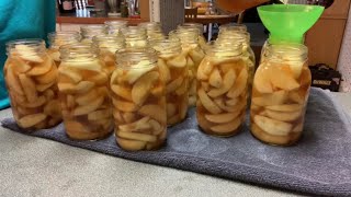 Canning apples  The easy way for filling your pantry