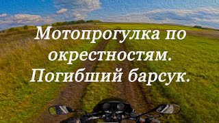 картинка: Безлюдные просторы. Просёлки и поля.