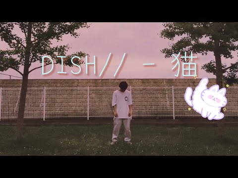 DISH// - 猫　即興で踊ってみた