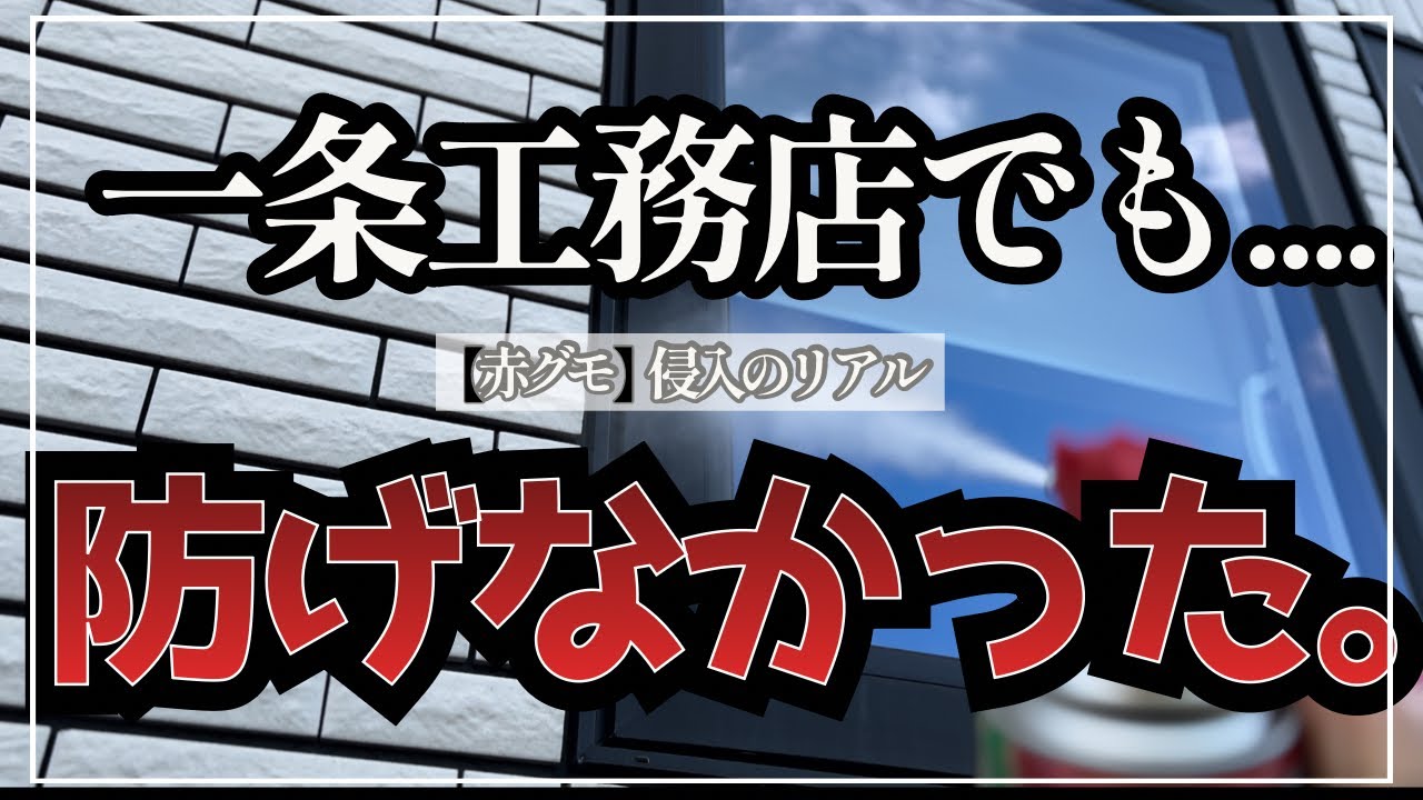 ぺみ【一条工務店29坪のシンプル平屋】のYouTube動画: 高気密なのに虫が出たので調べてみた！
