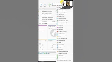 022.SHORT WINDEV Nouveauté windev 28, visualiser les rubriques #shorts