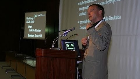 Sean Hill -  Challenges for Multi-scale Modeling Languages (2010)