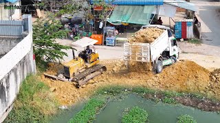 Full Video! Transaction Filling up land, Bulldozer KOMATSU D31P, Dump Truck Unloading