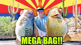 видео: Это озеро №1 в Америке для ловли окуня? (МЕГАсумка) картинка: Это озеро №1 в Америке для ловли окуня? (МЕГАсумка)