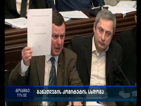 განათლების  კომიტეტი საგნის \"მე და საზოგადოება\" დანერგვის საკითხზე მსჯელობს