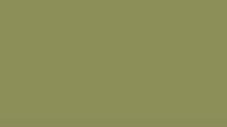 Green Screen For 4:44 minutes 💚🐢 #OliveGreen #colourvideo #Trending