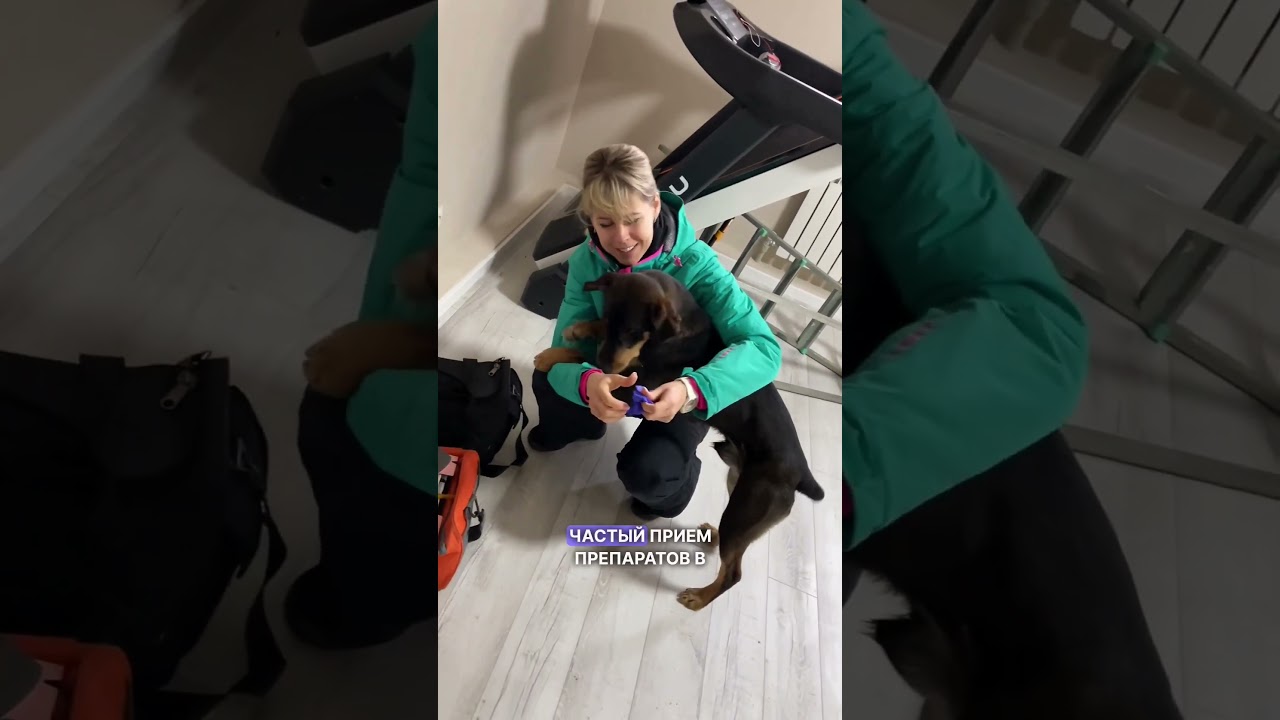 Когда давать таблетку от глистов?