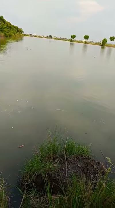 Mancing ikan penuh dengan saweran!!🐟🐟 😊😊