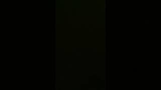 IMG 1115