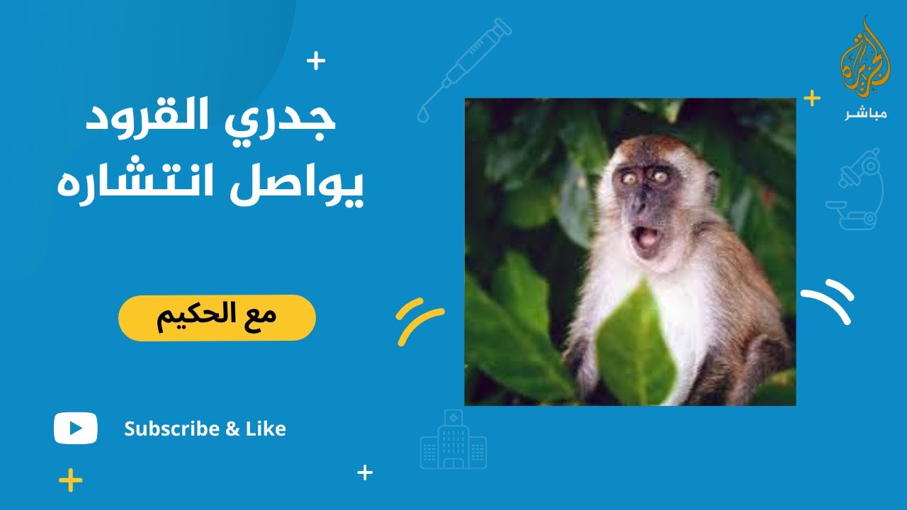 جدري القرود يواصل انتشاره في ٧٤ دولة ..