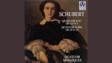 String Quartet No. 13 in A Minor, Op. 29 No. 1, D. 804: I. Allegro ma non troppo