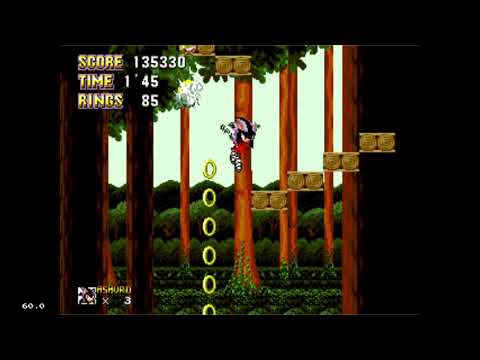 Me Playing Sonic and Ashuro 4.06 Part 5: Leaf Land Zone (Ashuro)