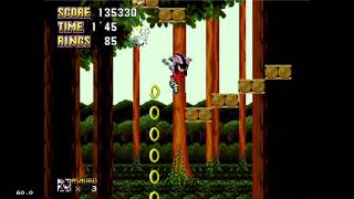 Me Playing Sonic and Ashuro 4.06 Part 5: Leaf Land Zone (Ashuro)