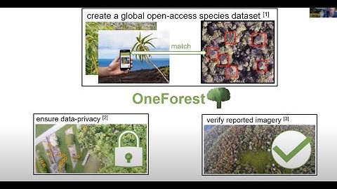 J-WAFS Video Competition Second Place Video: OneForest - Image Recognition for Monitoring Forests