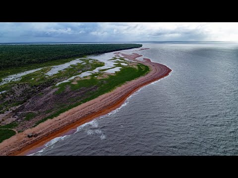 Coastal Ecosystem Services in Guyana