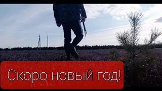 Скоро новый год!      #Новыйгод