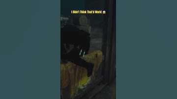 That Worked?! #deadbydaylight #dbd #shorts