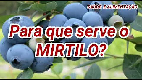 O que é blueberry e para que serve?