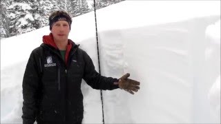 Depth Hoar Persists, but Deeper and Stronger in Cooke City - 17 Jan 2016