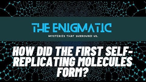 Origin of Life: The Formation of Self-Replicating Molecules.