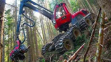 Extreme Logging on 35° Alpine Slope 🏔 | Harvester, Traction Winches & Timber Forwarder in Action