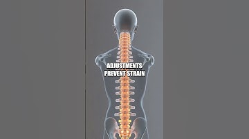 Skeleton Engineers of Motion