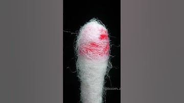 Painting with Cotton Swabs: The Most Satisfying Macro Video You